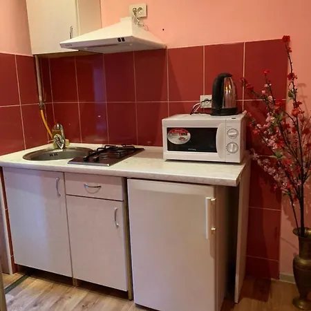 33/Kotliarska Moisha House Daire Lviv Dış mekan fotoğraf